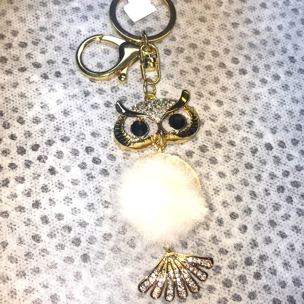 Owl 🦉 keychain
